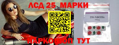 винт Гатчина