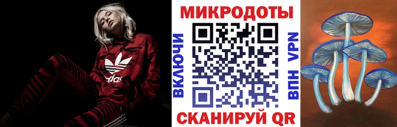 Галлюциногенные грибы Psilocybe  купить наркотики цена  Каменск-Шахтинский 